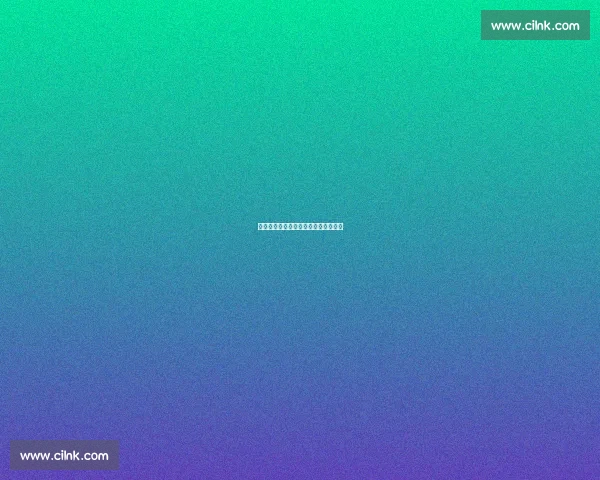 首发阵容深度解析与赛场策略全面剖析